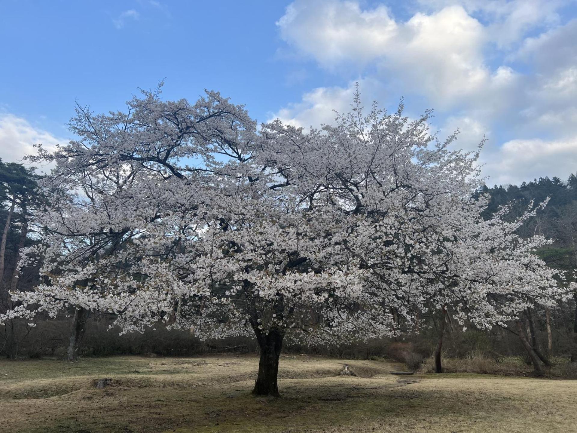 Kinugawa Keisui Hotel Nikko Eksteriør billede