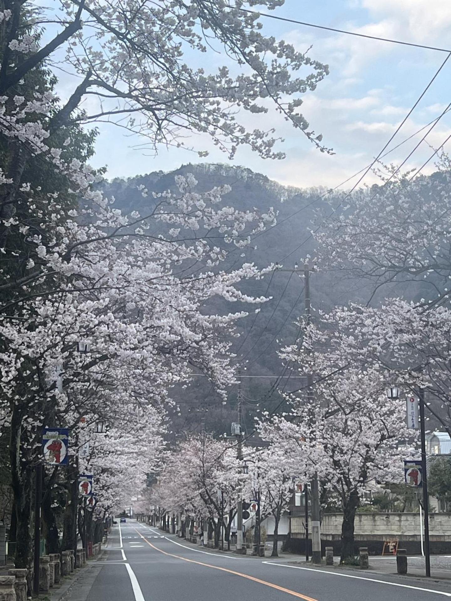 Kinugawa Keisui Hotel Nikko Eksteriør billede