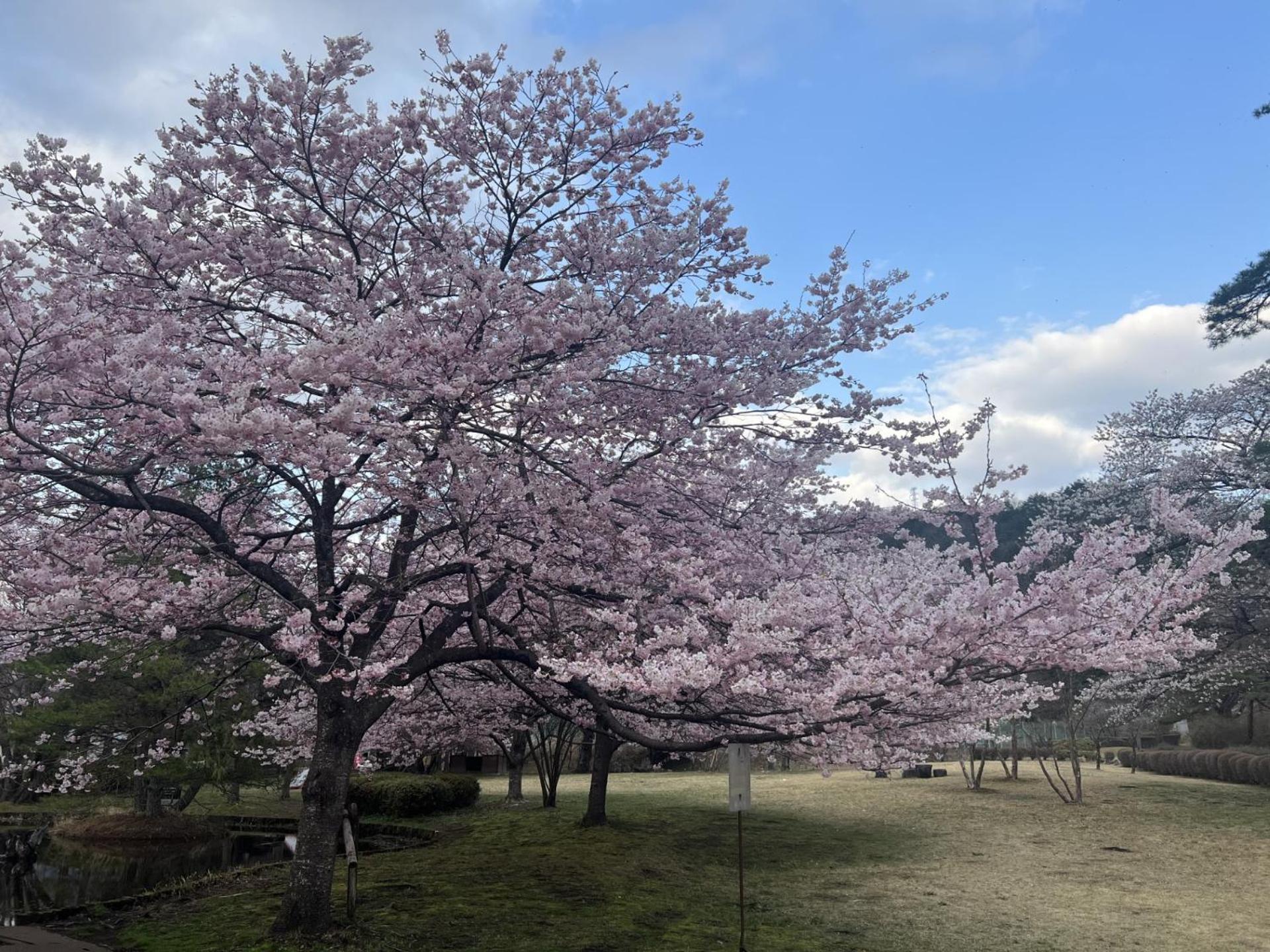 Kinugawa Keisui Hotel Nikko Eksteriør billede